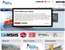 Tablet Screenshot of mshsgroup.com